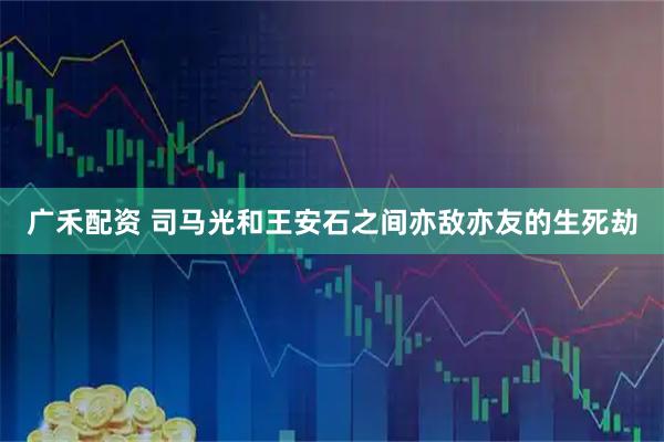 广禾配资 司马光和王安石之间亦敌亦友的生死劫